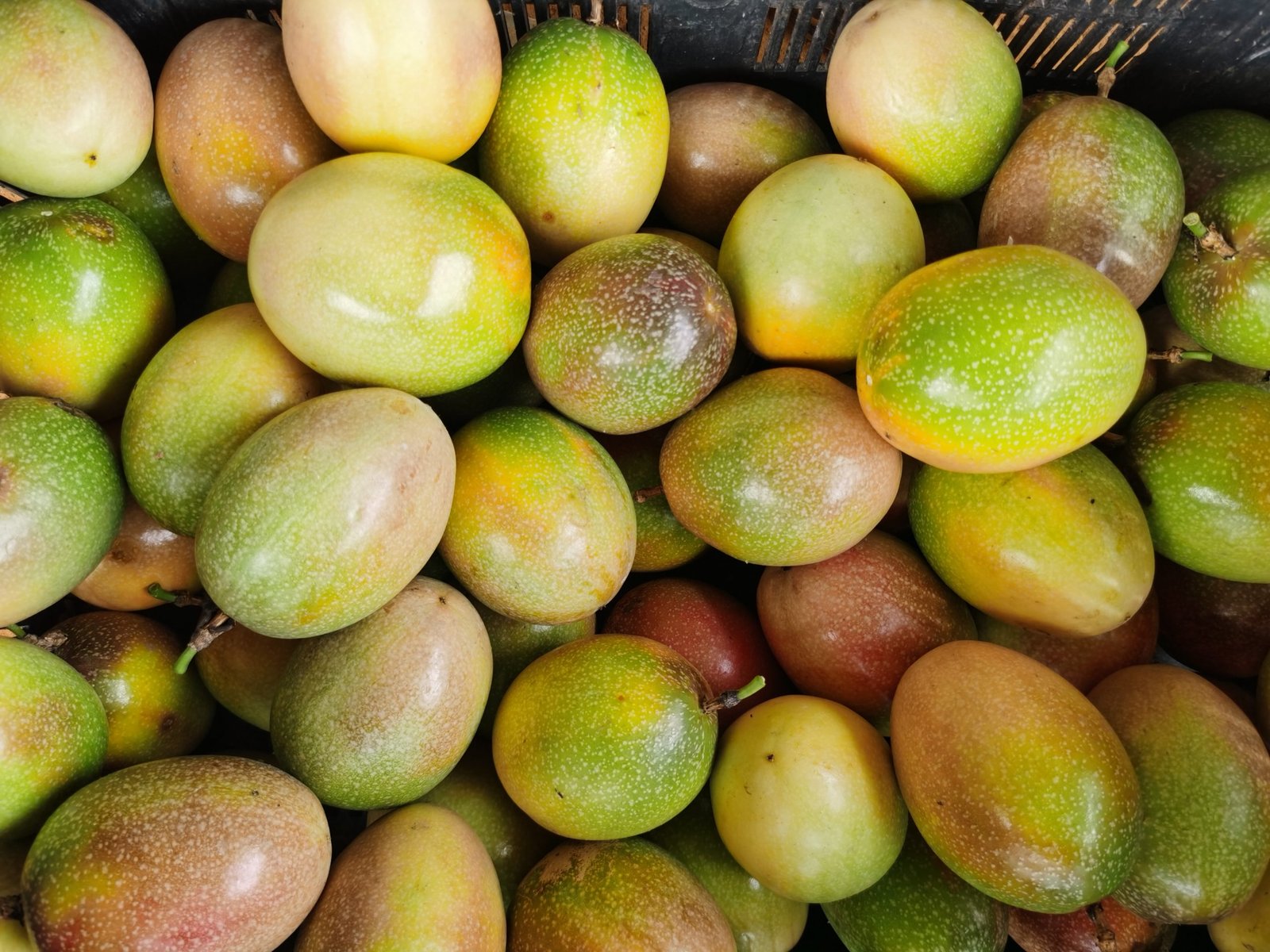 Grade AA Passion Fruit 2.5KG Box - 3SEED